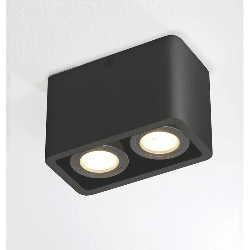 Artdelight Plafondlamp Bronx 2L - Zwart