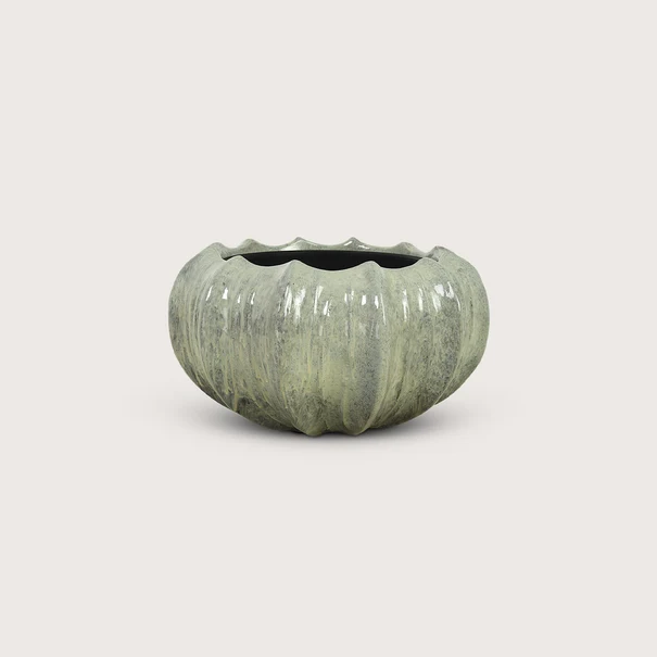 Bowl Titan - Ecru - D53 H31