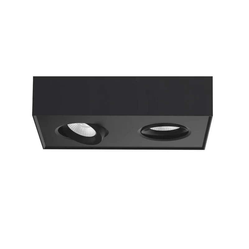 Artdelight Plafondlamp Brooklyn 2L - Zwart