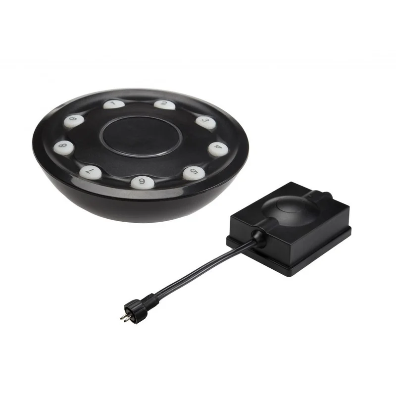Outdoor ontvanger + afstandsbediening - 12V - 150W