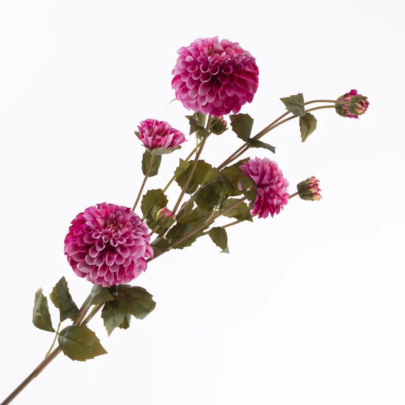 Dahlia Spray x4 flw 5 Bud Beauty 113cm