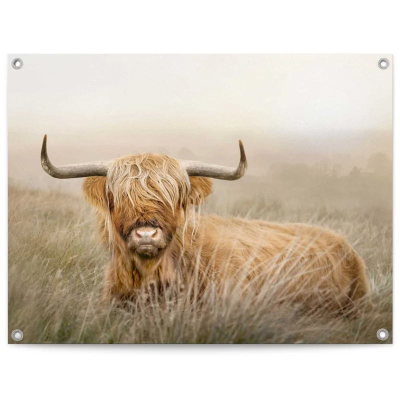 Reinders tuinposter Hooglander - 60x80cm