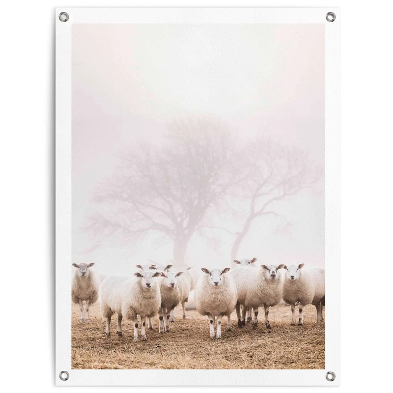 Reinders tuinposter Schaap in de mist - 80x60cm