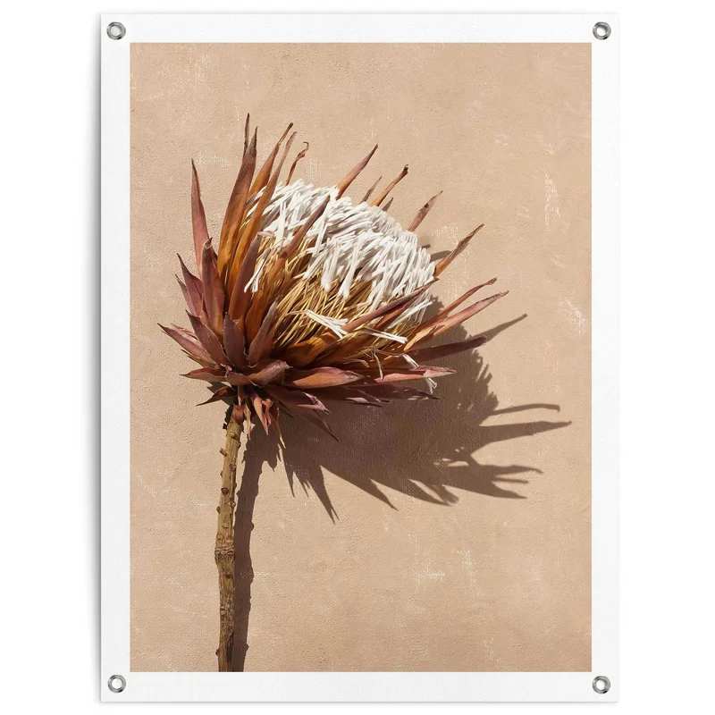 Reinders tuinposter Schaduw bloem - 80x60cm
