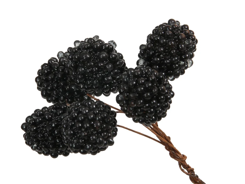pb. 12 bundle of 6 blueberries black 28 mm