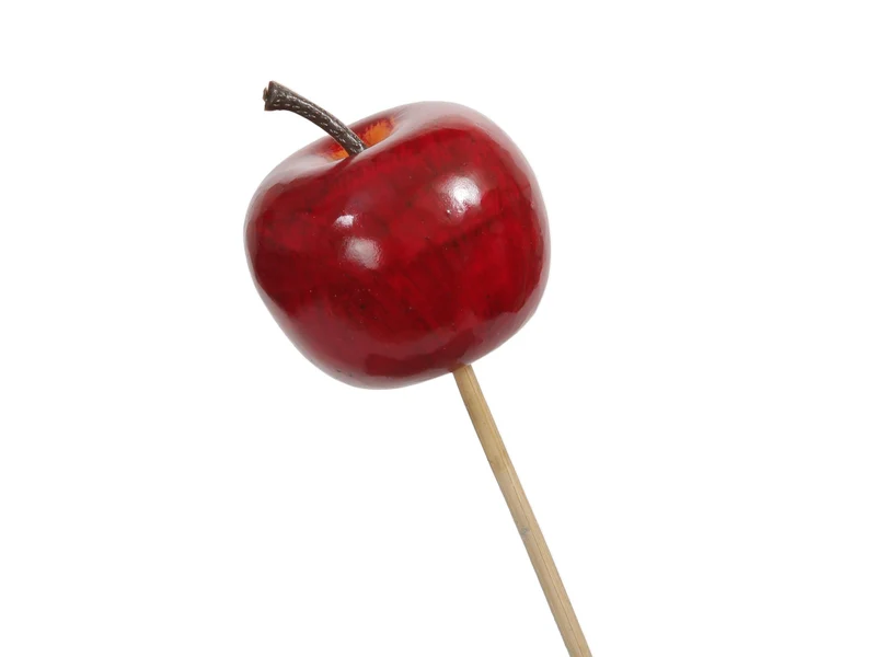 pb. 12 styro apples/stick 20cm dark red Ø 4.5cm