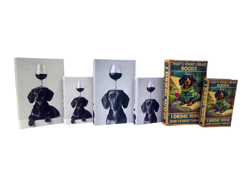 Books set/2 24x16x5cm wine 3 assortie