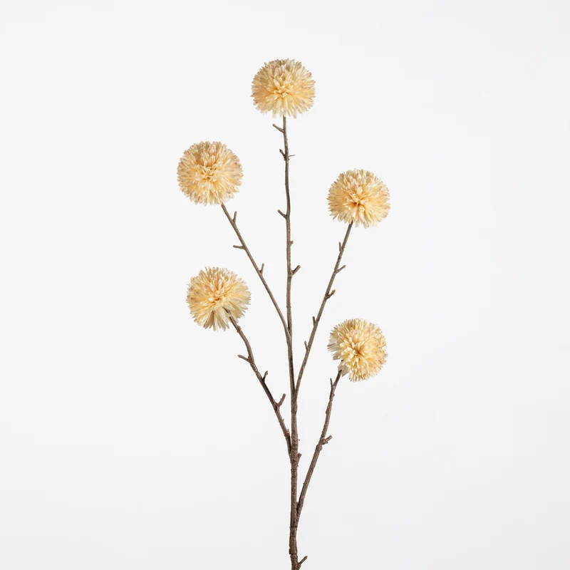 Pompom XL x5 L100cm cream
