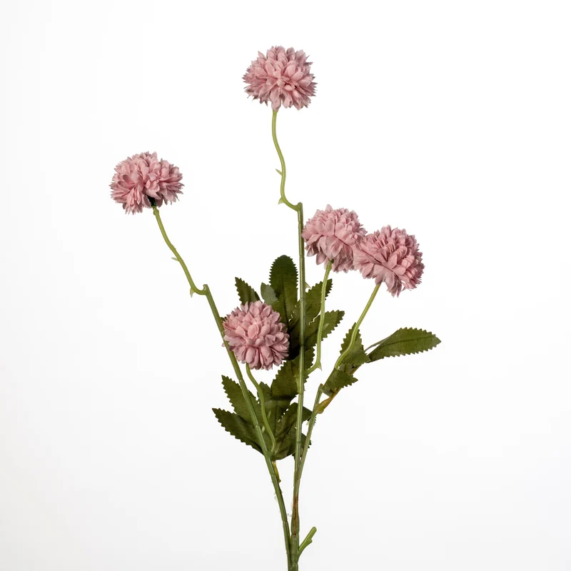 Gompy spray x5 L51cm old pink