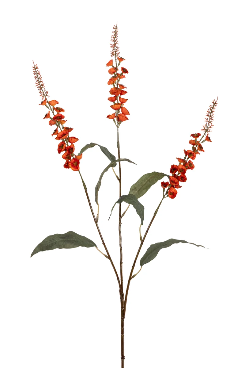Veronica x3 l95cm oranje