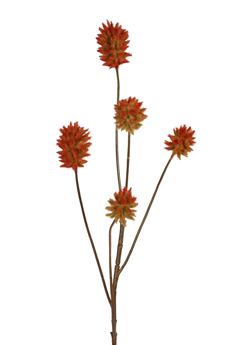 Distel flock l77cm donker rood