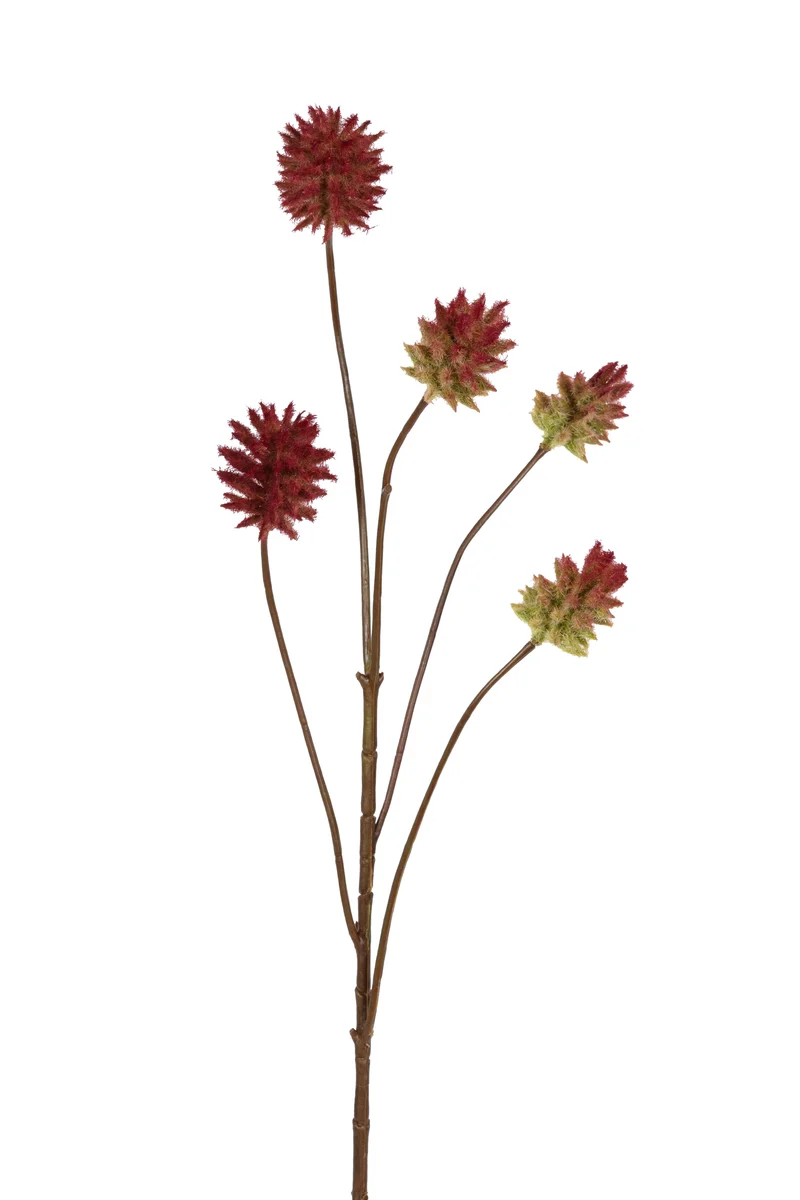 Distel flock l77cm oranje