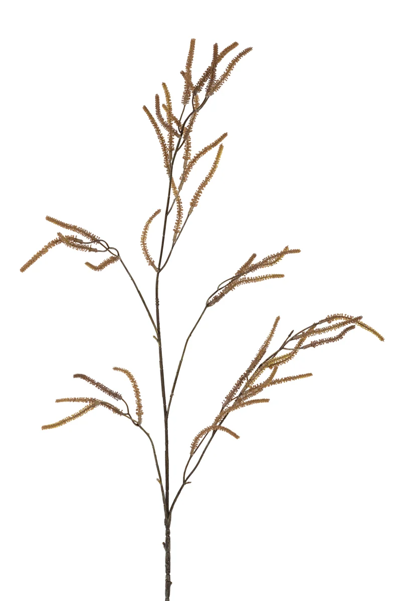 Amaranthus l105cm bruin
