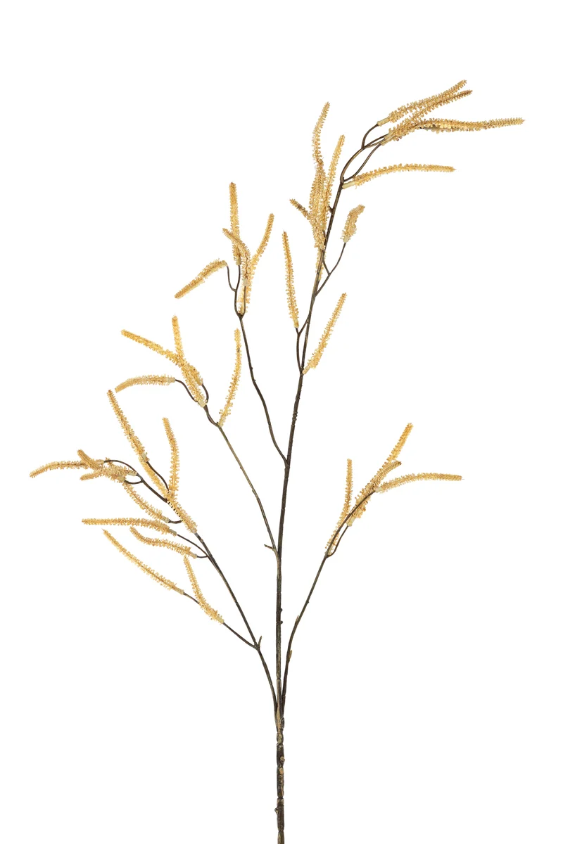 Amaranthus l105cm creme