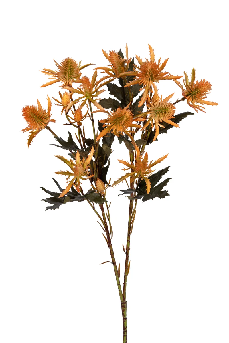 Distel l67cm orange