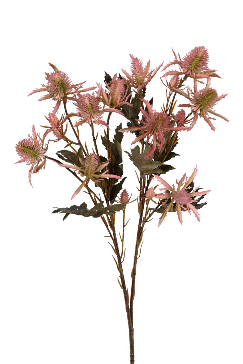 Distel l67cm roze