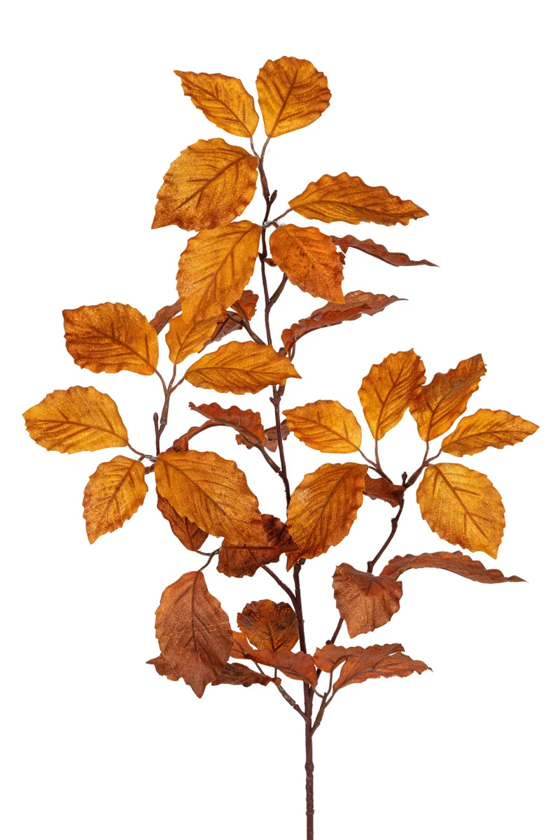Beukenblad l70cm bruin