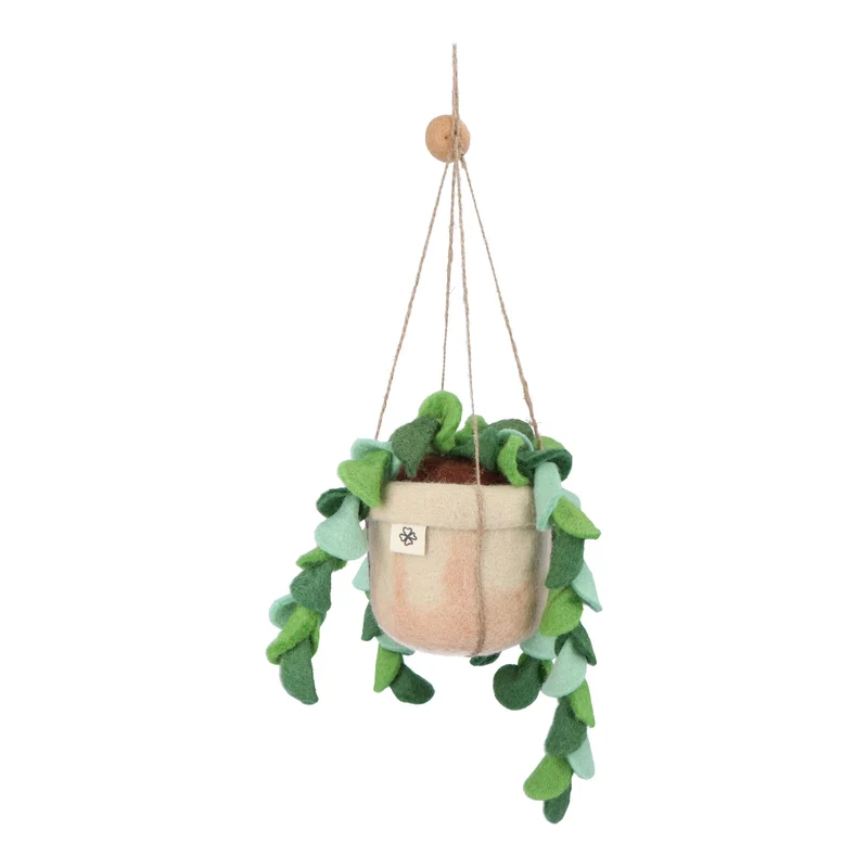 Vilten Hangplant