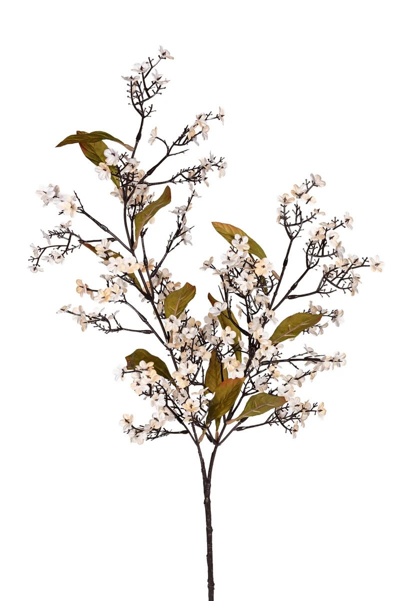 Lantana l80cm creme