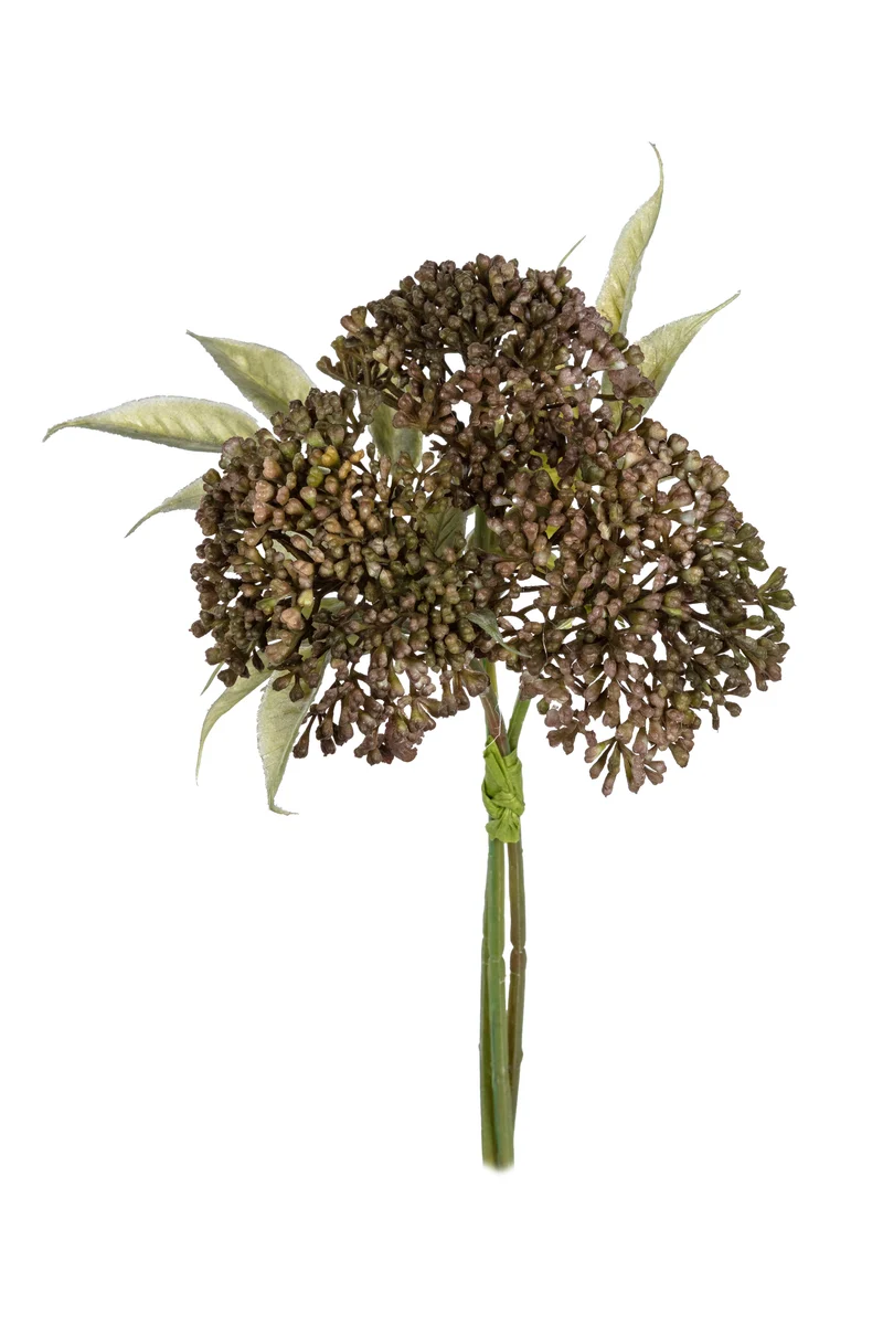 Allium bundel h27cm bruin