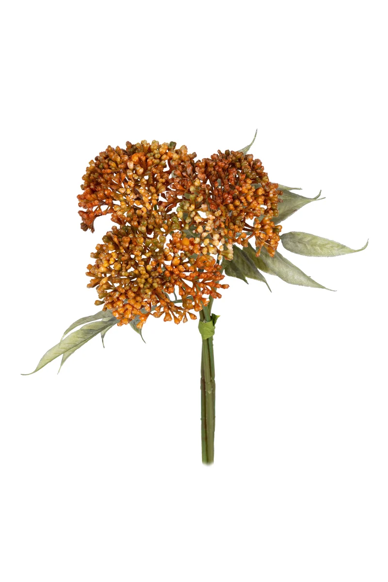 Allium bundel h27cm oranje