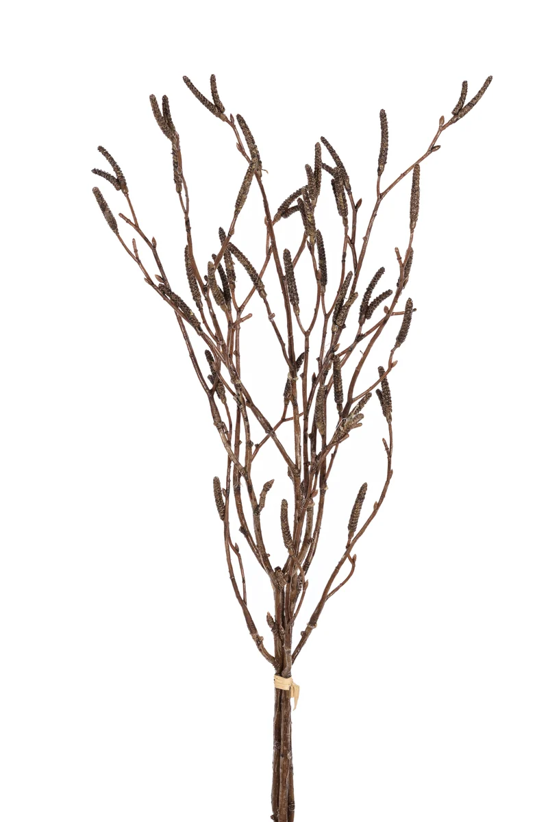 Twijgen bundel h55cm bruin
