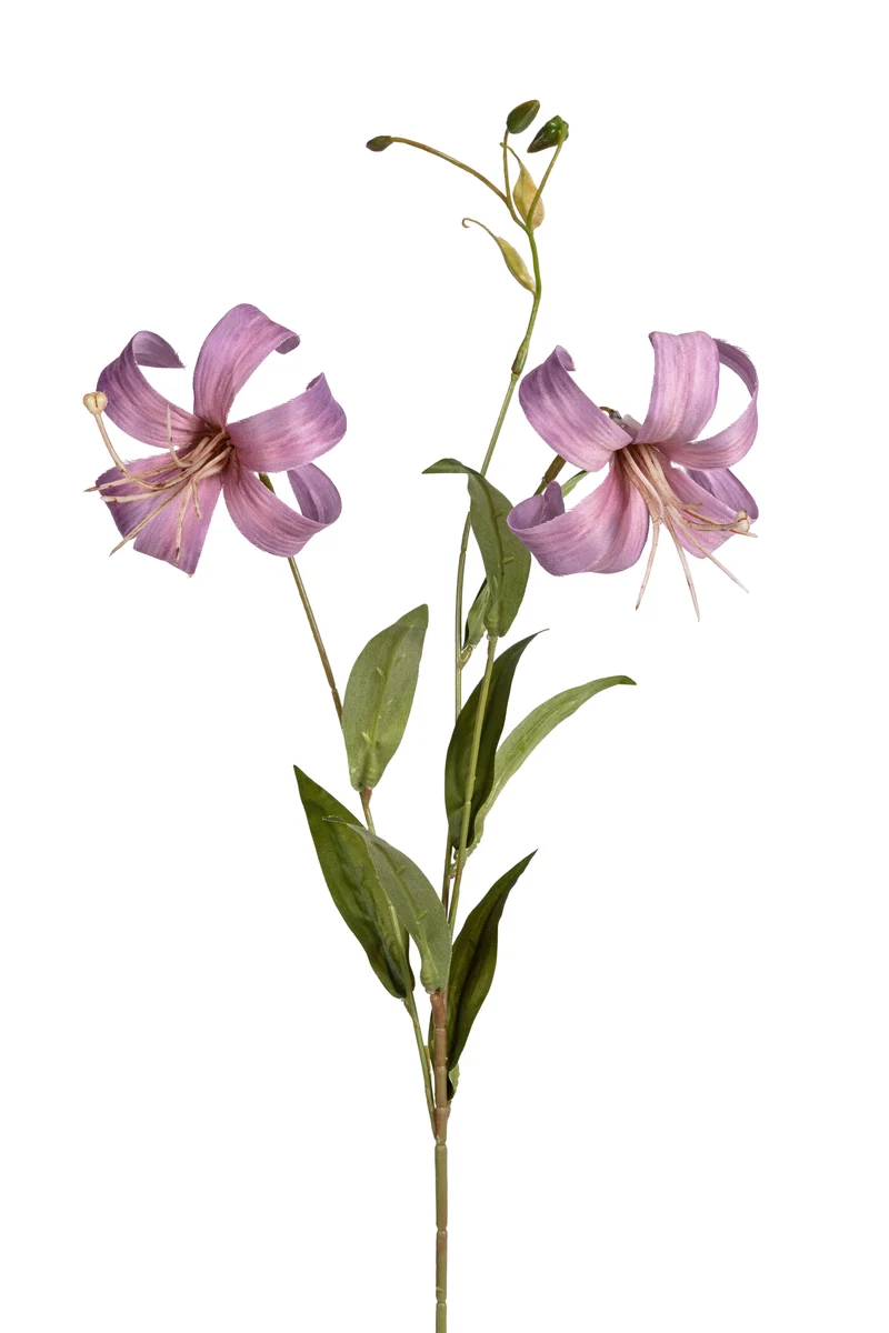 Lelie x2 l77cm lila