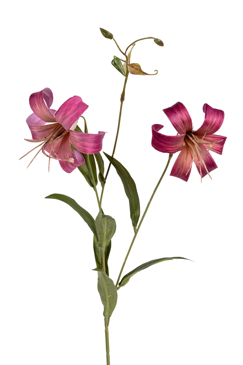 Lelie x2 l77cm cerise