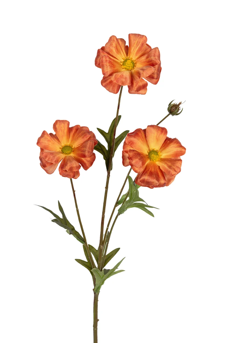 Ranonkel butterfly l70cm oranje