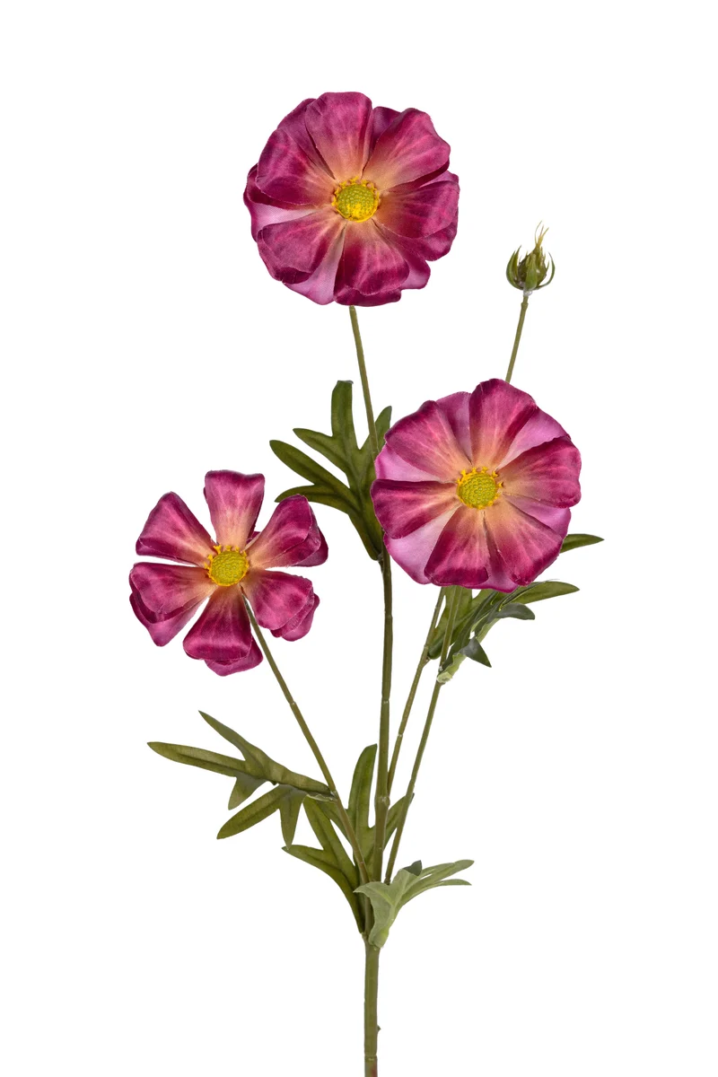Ranonkel butterfly l70cm cerise