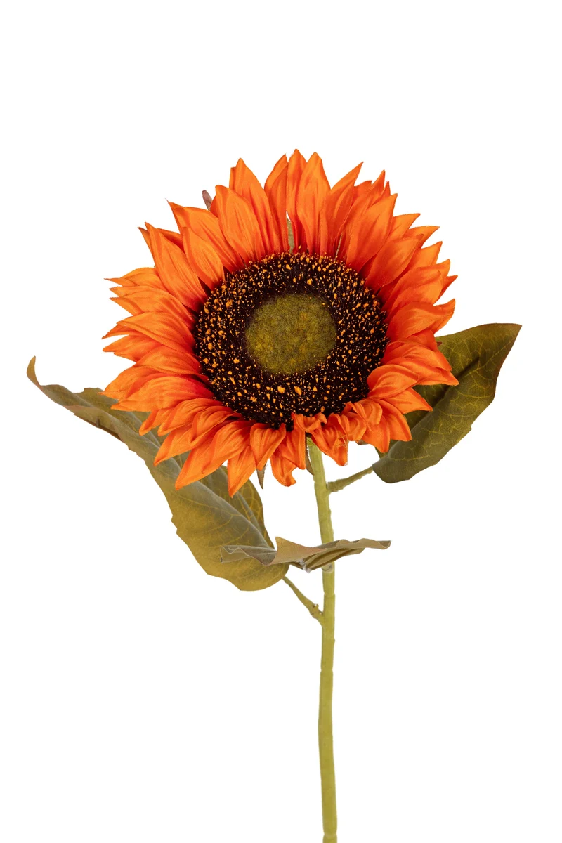 Zonnebloem l74cm oranje
