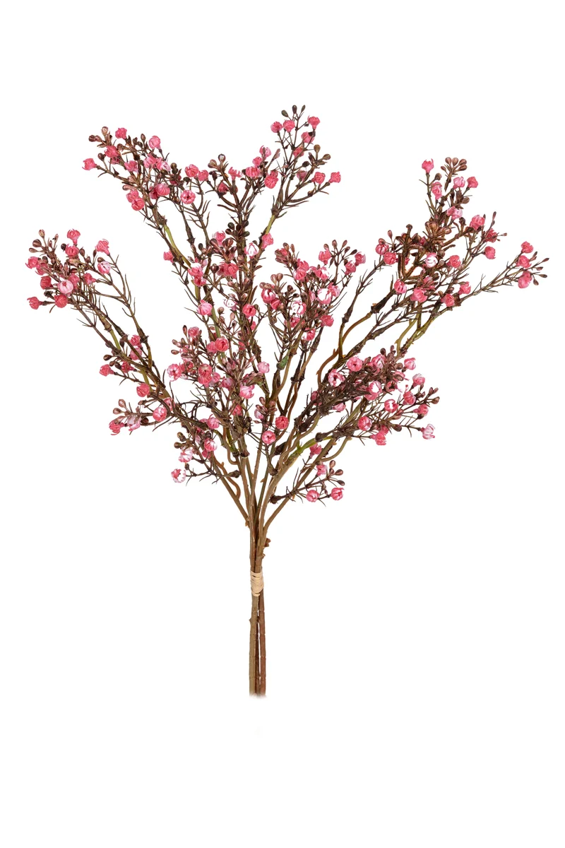 Gypsophila bundel h55cm donker roze