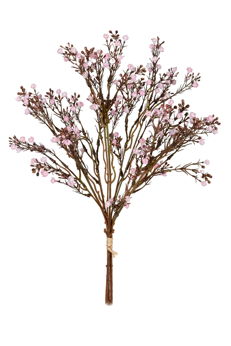 Gypsophila bundel h55cm licht roze