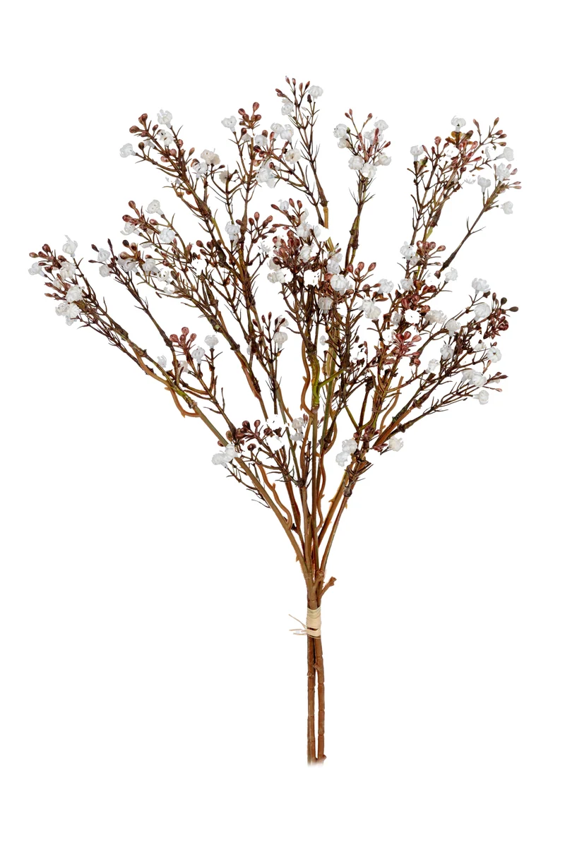 Gypsophila bundel h55cm wit
