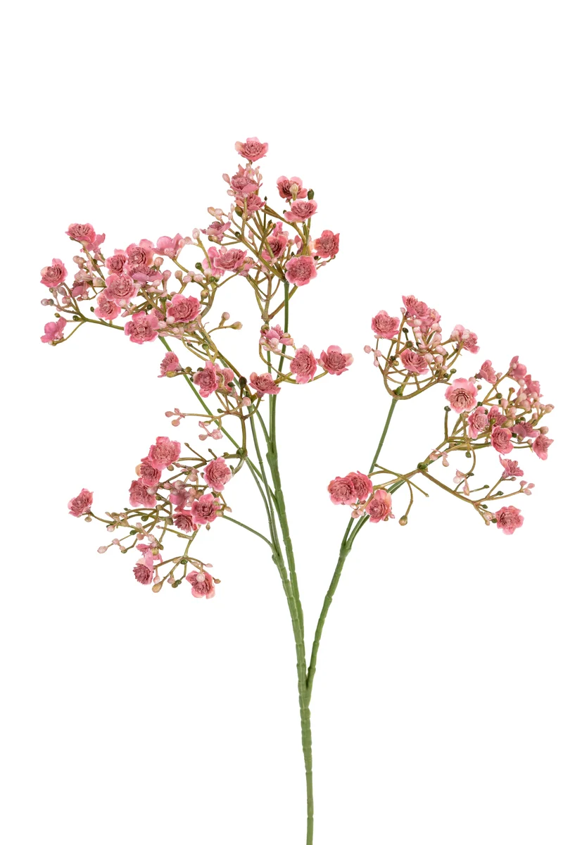 Gypsophila l70cm oud roze