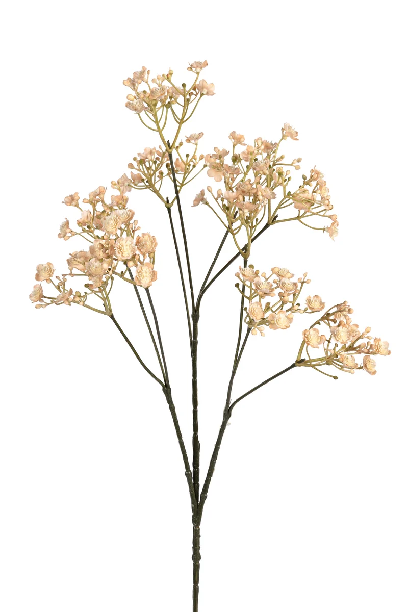 Gypsophila l70cm beige