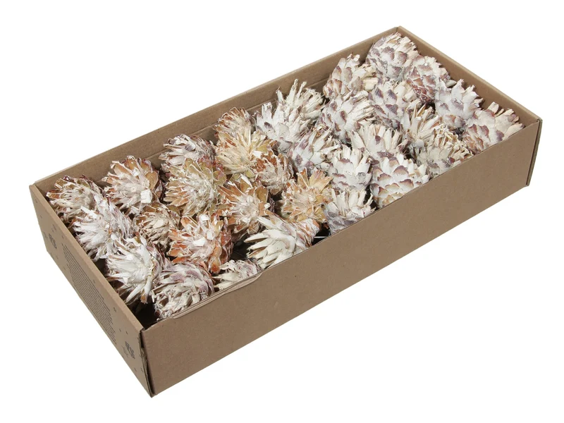 w/b. 55 plumosum/wire 10 cm white wash