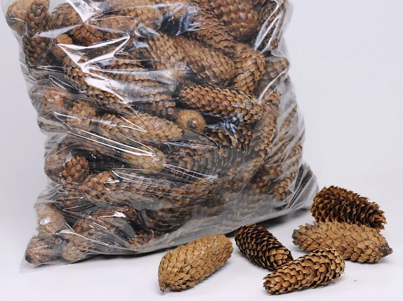 SPRUCE CONE MIXED NATURAL POLY/5 KG