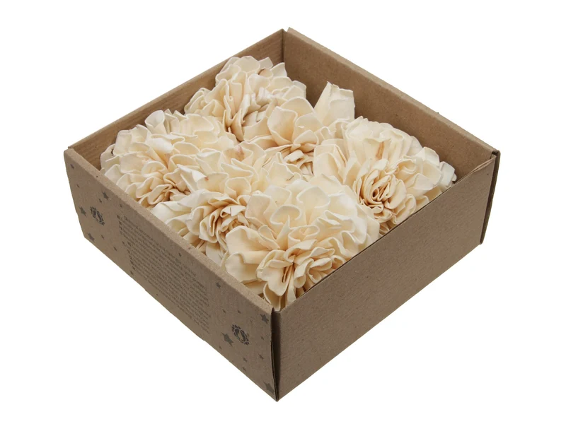 w/b. 6 shola dalia flower natural