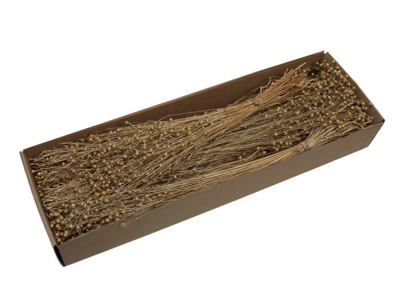 pb. 6 bunches alsi grass gold wash 300 gr.