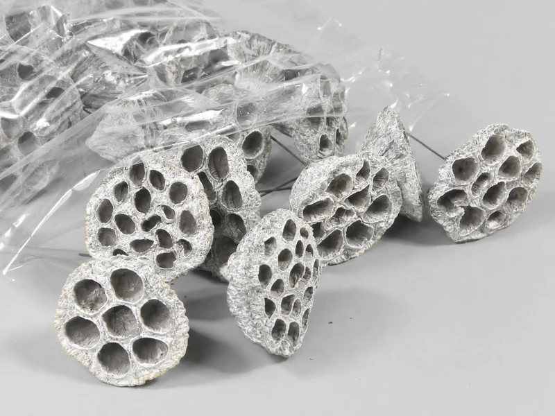 Lotus 3-5cm on wire 10cm white-wash 100pcs