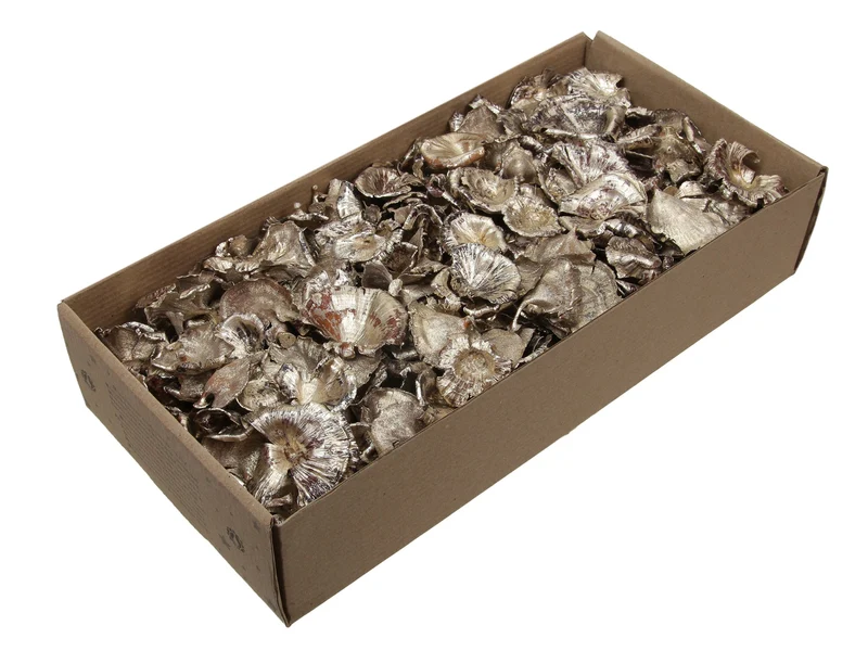 w/b. golden mushroom platinum 250 gr.