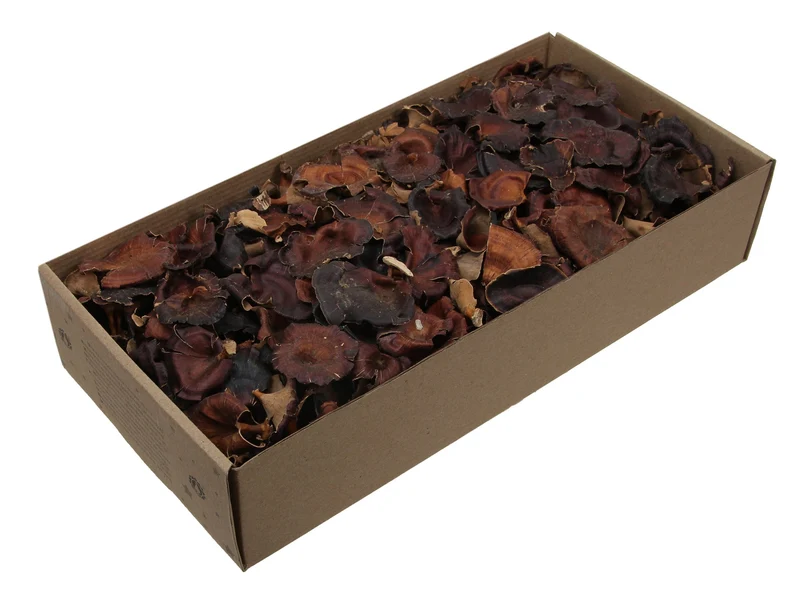 w/b. golden mushroom natural 250 gr.
