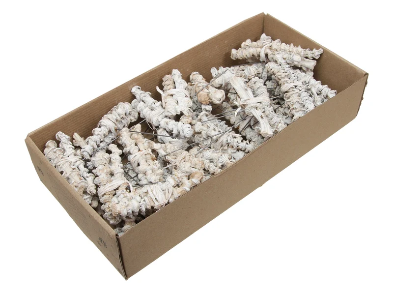 w/b. 30 pcs. banana stem/wire white