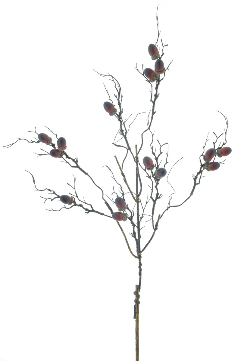 Twig spray w/acorn natural 88cm