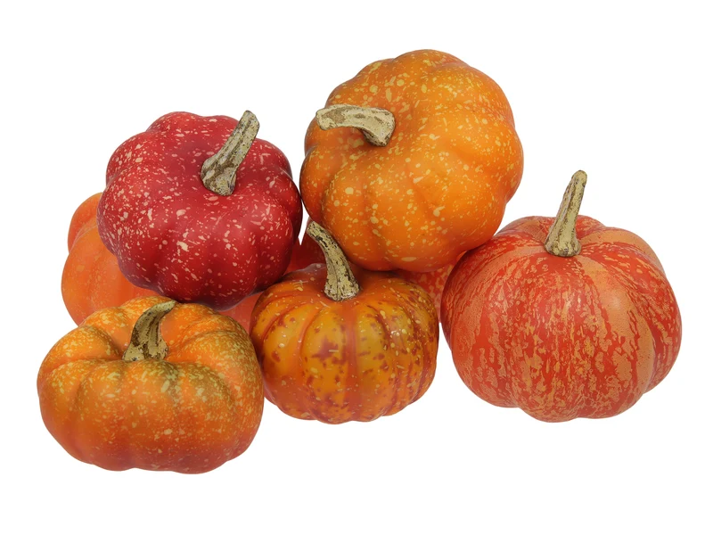 pb. 12 pumpkins orange ass.