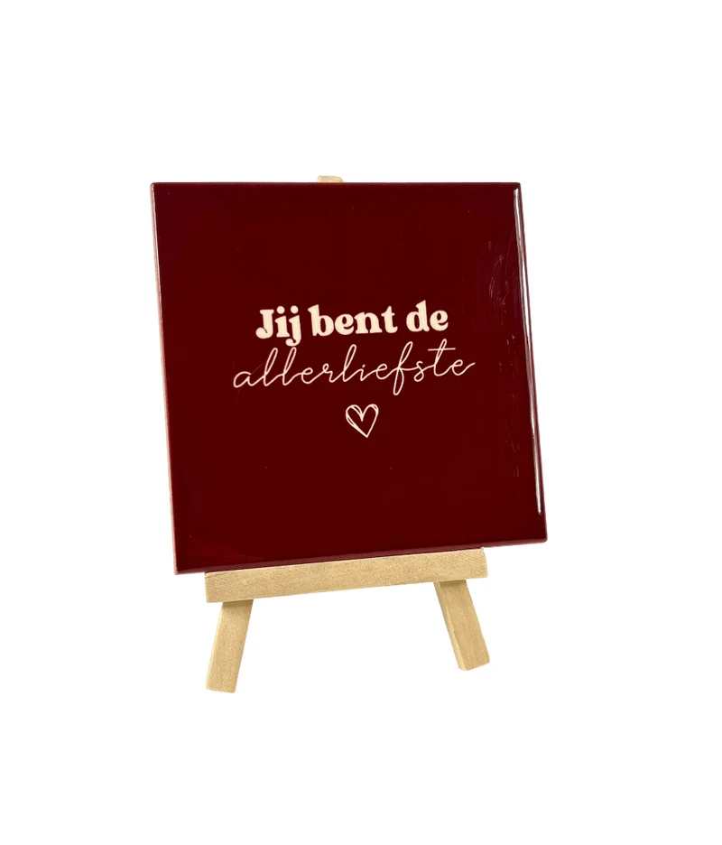 Tegeltje - Jij bent de allerliefste - 11x11cm