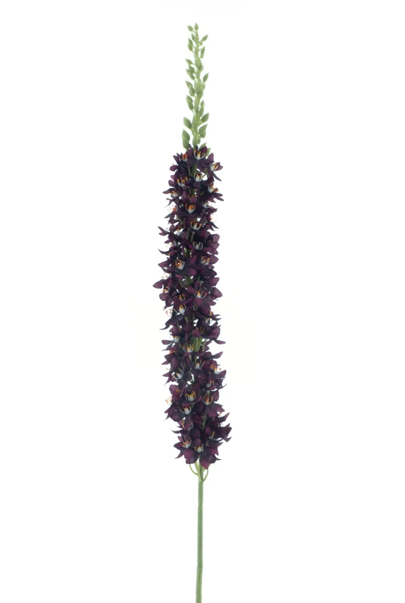 Eremurus spray Flers purple 105cm