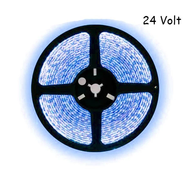5 meter blauw led strip - 120Leds/m - 24V