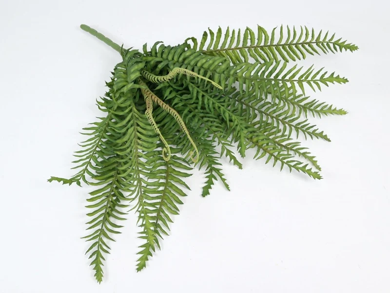 Fern bush 50cm Green